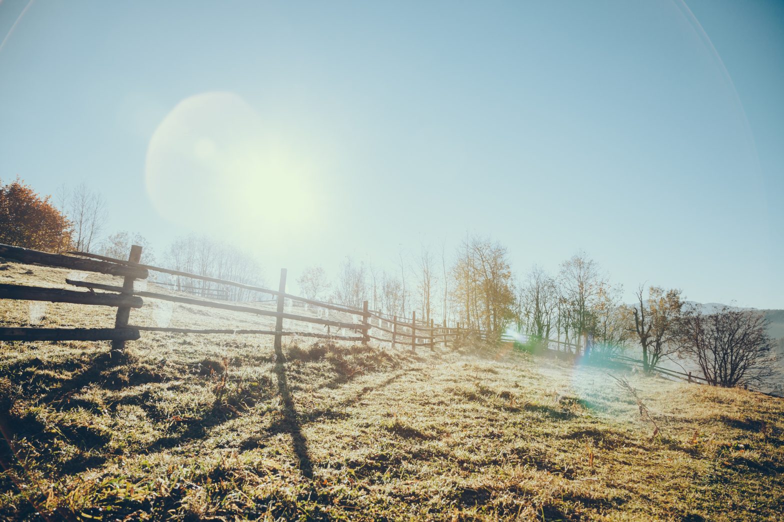 The sun shines brightly on an old pasture bordered by a simple wooden fence.