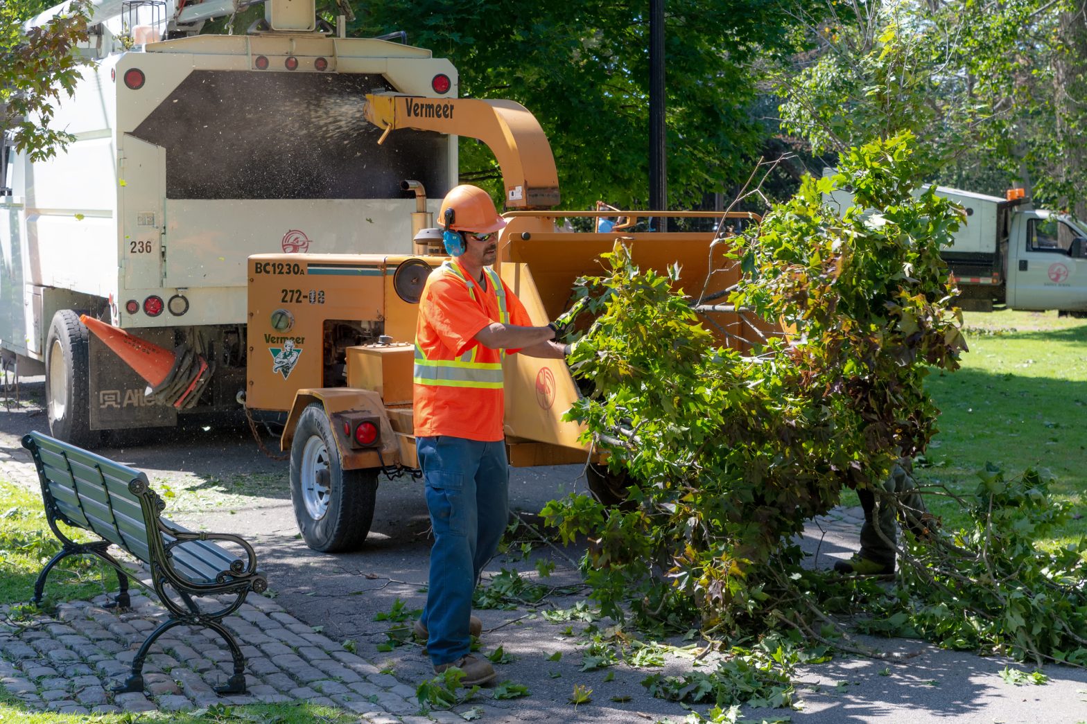 A worker in an orange safety vest loads debris from a fallen tree into a wood chipper.